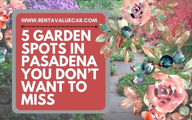 Blog Header - rental cars in pasadena 5 Garden Spots in Pasadena You Don’t Want To Miss