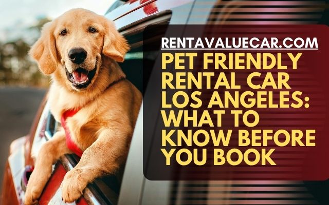 Pet Friendly Rental Car Los Angeles What to Know Before You Book